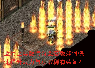 ��������洫���̬����ο�������ս�����ȡϡ��װ����