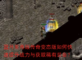 ��������洫���̬����ο�������ս�����ȡϡ��װ����