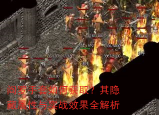 ����������λ�ȡ��������������ʵսЧ��ȫ����