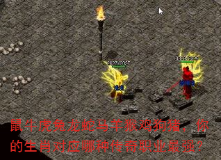 ��ţ������������Ｆ�����������Ф��Ӧ���ִ���ְҵ��ǿ��