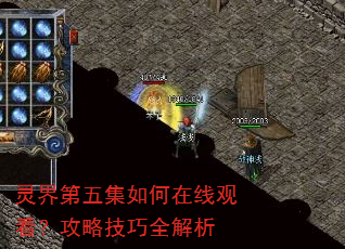 �����弯������߹ۿ������Լ���ȫ����