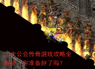 ʮ�󹫻ᴫ����Ϸ����ȫ��������׼��������