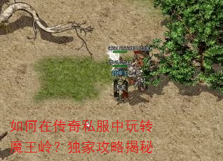 ����ڴ���˽������תħ���룿���ҹ��Խ���