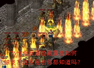 1.76������������������δ�������Щ�����㶼֪����