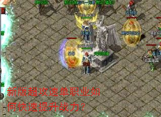 �°泬���ٵ�ְҵ��ο�������ս����